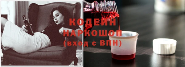 прущие крисы Бородино