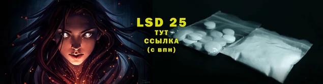прущие крисы Бородино