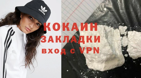 прущие крисы Бородино