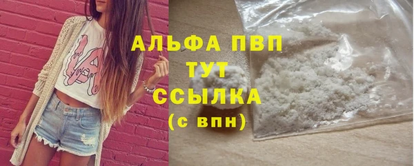 прущие крисы Бородино