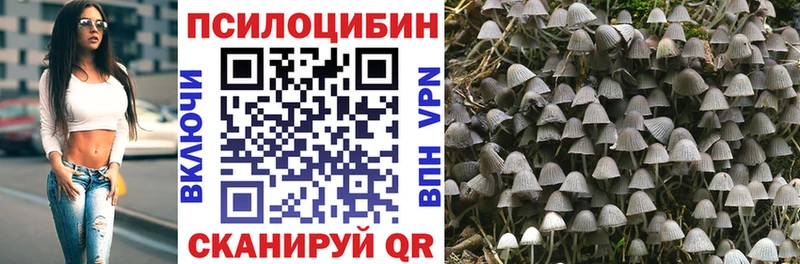 Купить закладки  Завитинск  Галлюциногенные грибы мухоморы 