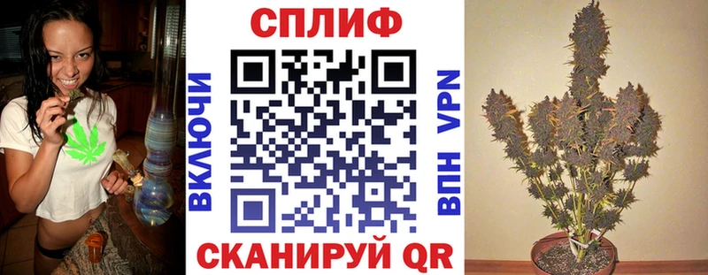 Купить закладки  Завитинск  Бошки марихуана планчик 